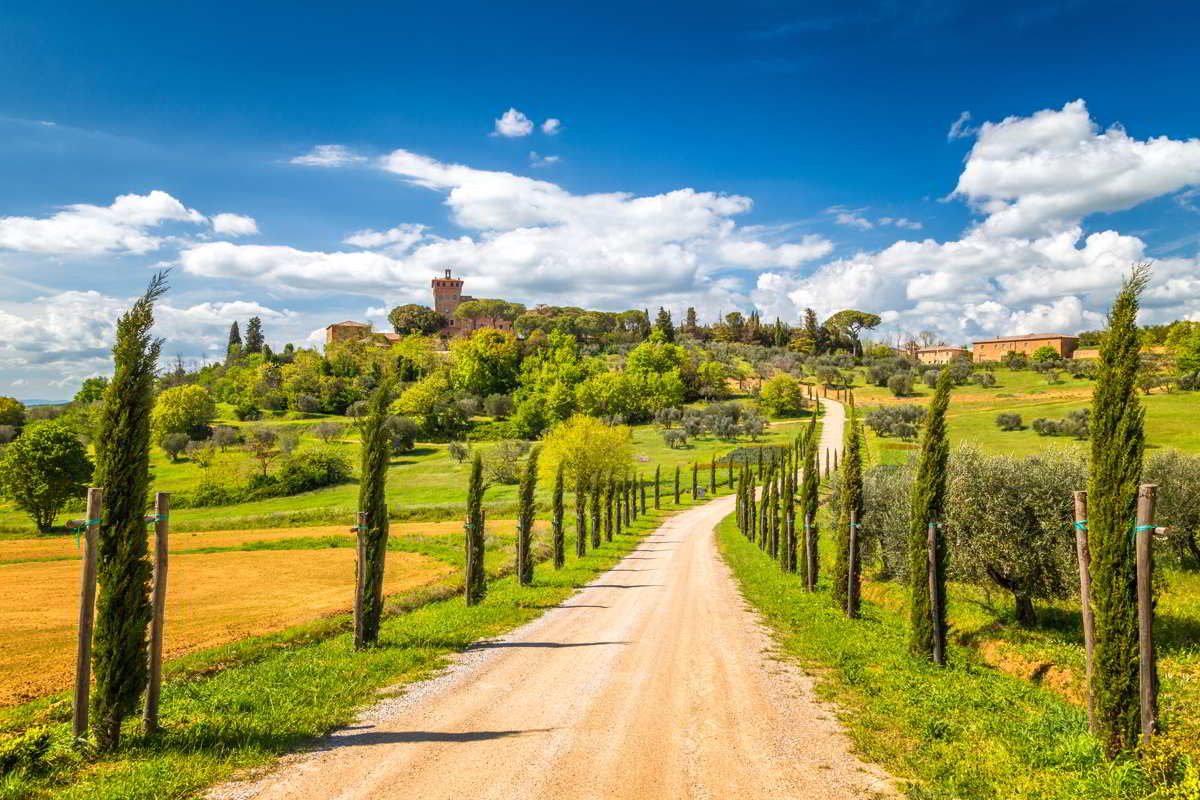 Image of a golden Tuscan hillside vineyard in Italy.
